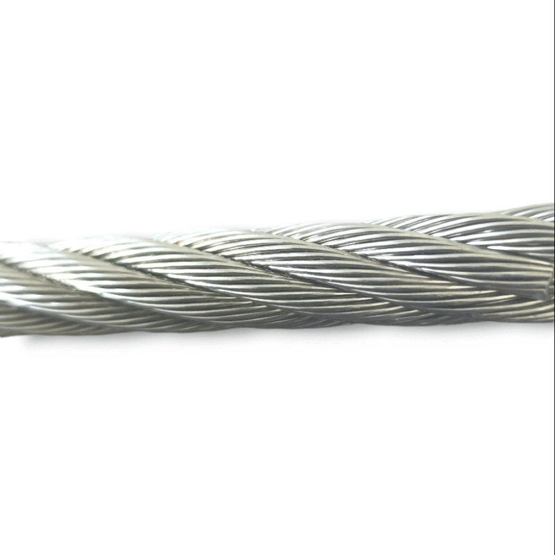 Photoroom-20240919_134727 Photoroom-20240919_134727