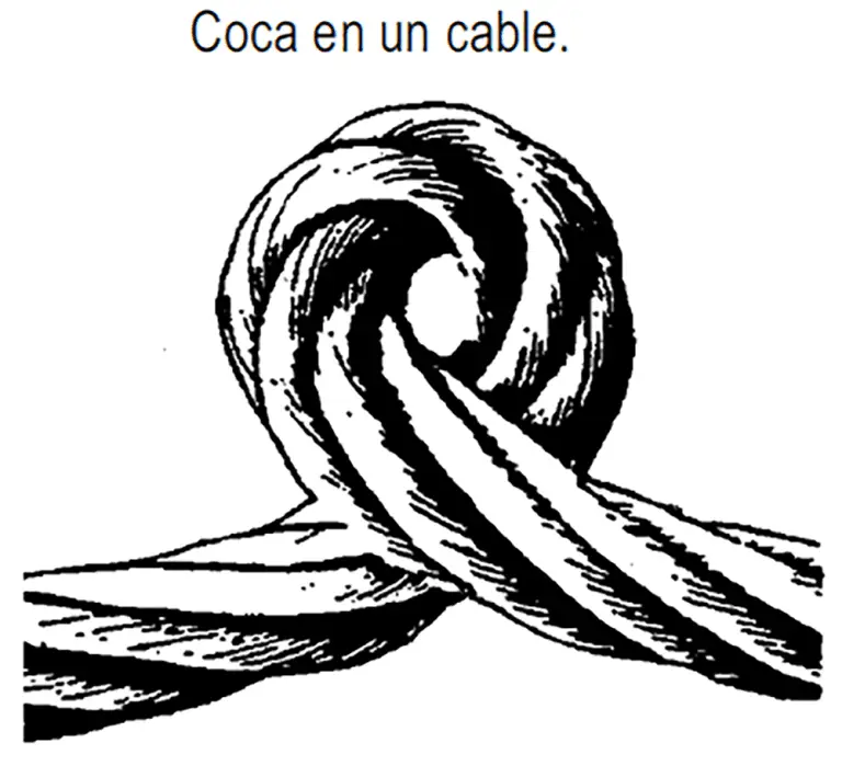 Coca