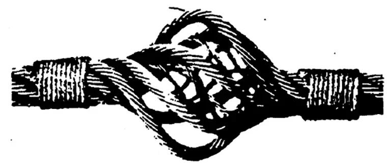 Jaula de Pajaro