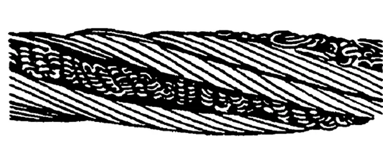 Rotación.2