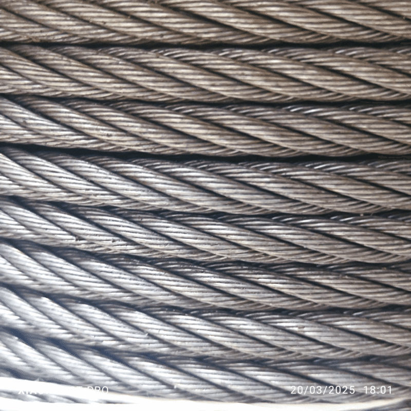 Photoroom-20250321_122440 Photoroom-20250321_122440